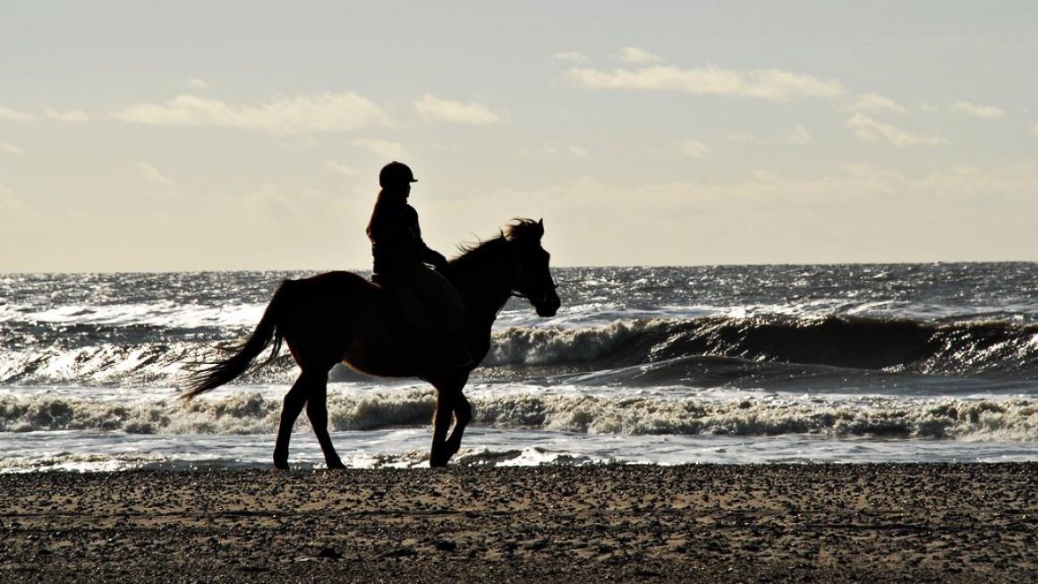 Udvikling af ride- og vandreruter