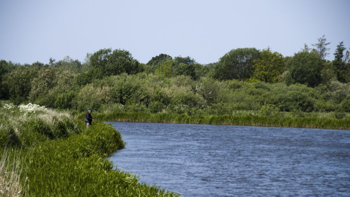 Naturturisme Skjern Å 2015