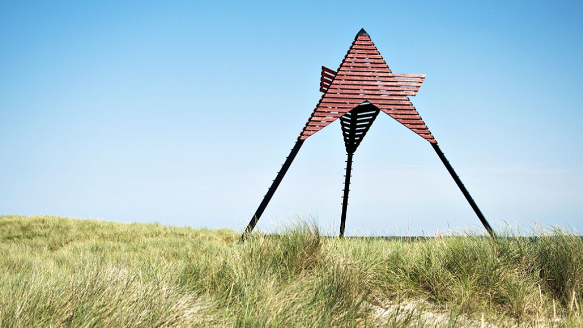 Læs om Vedersøs historie