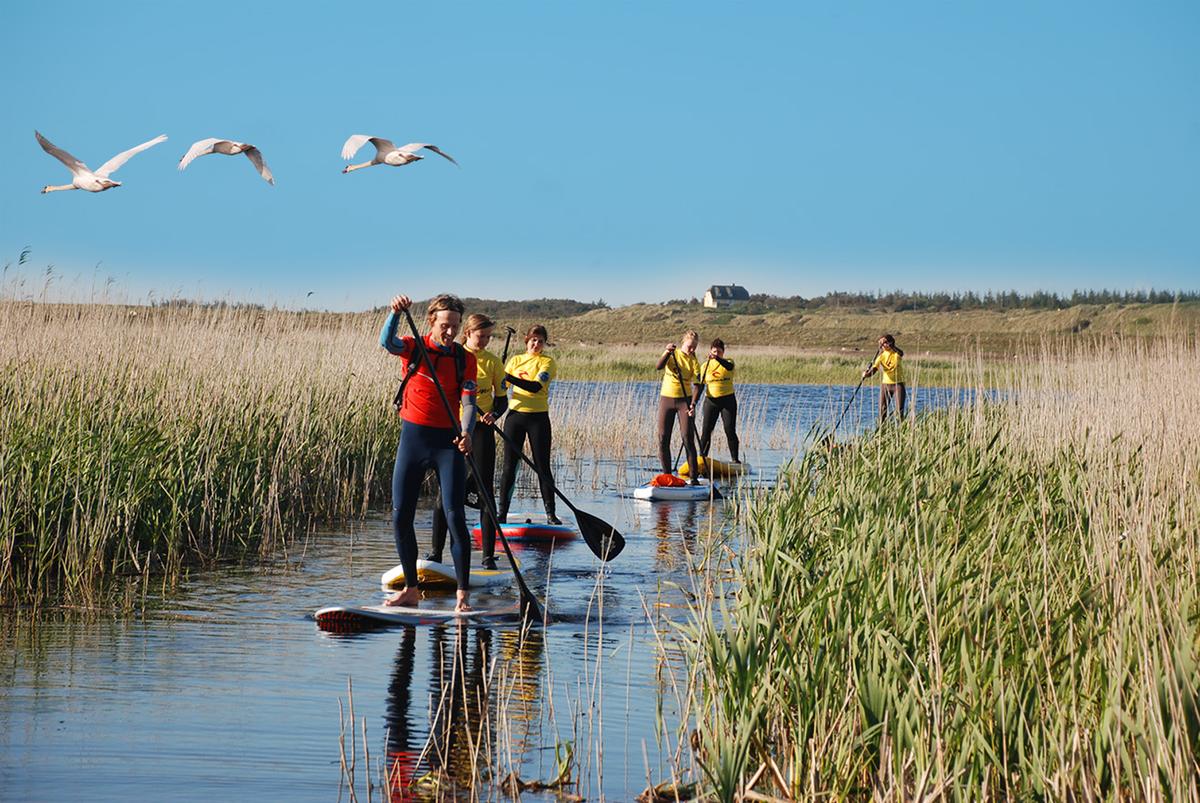 Stand Up Paddle på Ringkøbing Fjord 