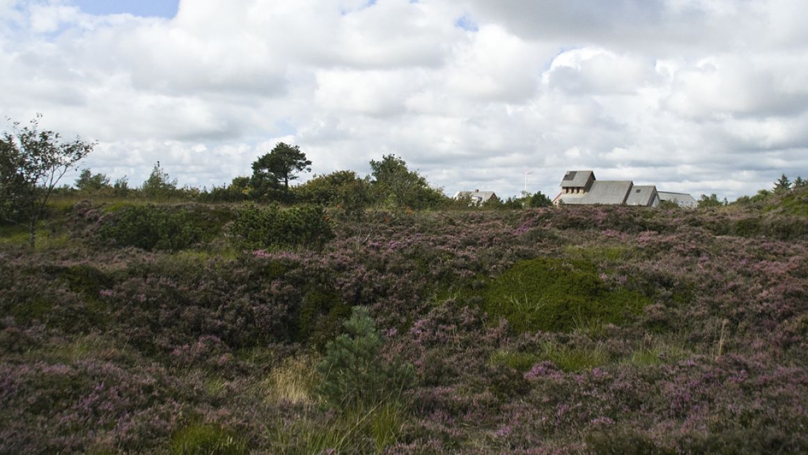 Heden som den var i stenalderen