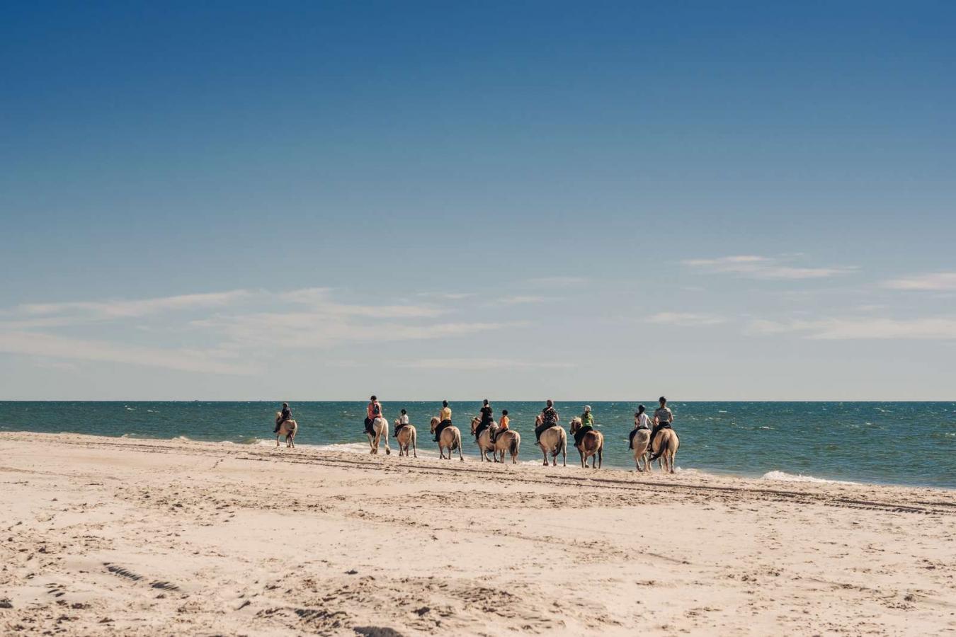 Ridetur langs vandkanten
