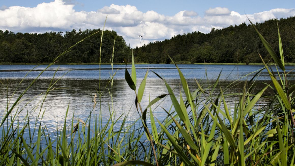 brunkulsleje Videbæk