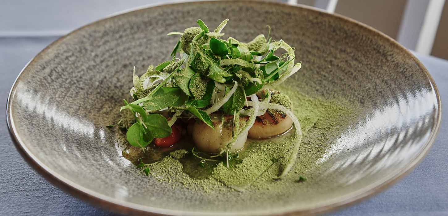 Henne Mølle Å Badehotel