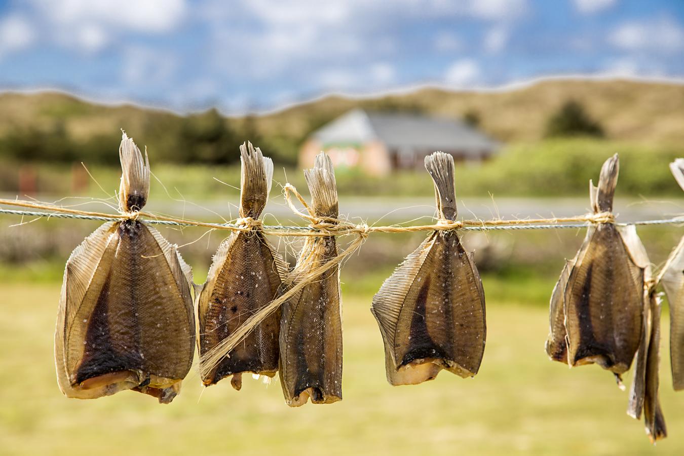 Dabs - Get the story about the dried fish | Visitvesterhavet