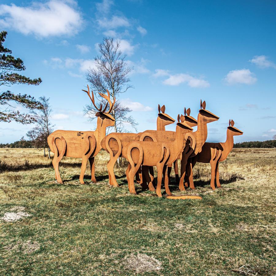 Krondyrsrudlen - Vejers