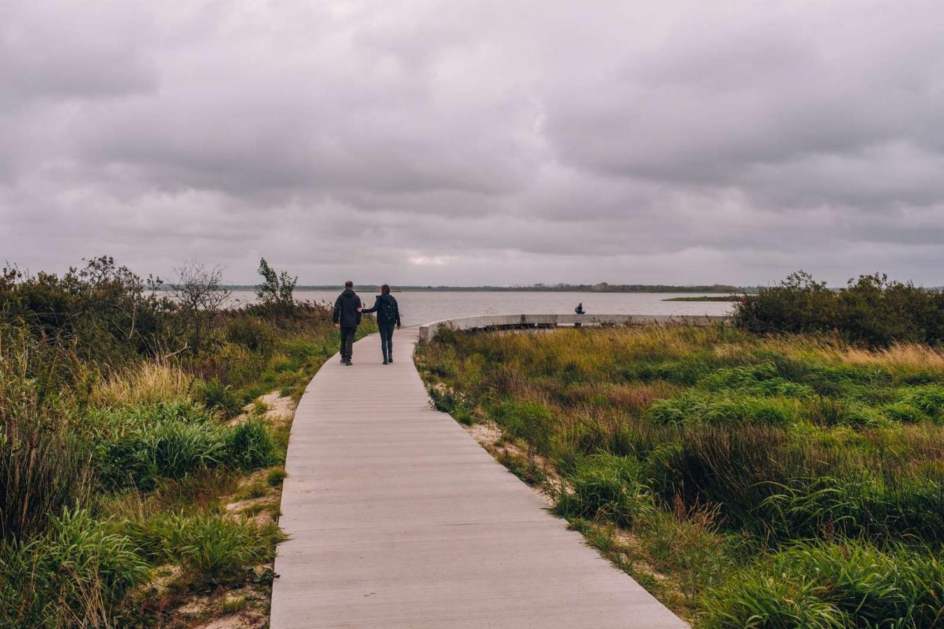 Vandretur ved Filsø