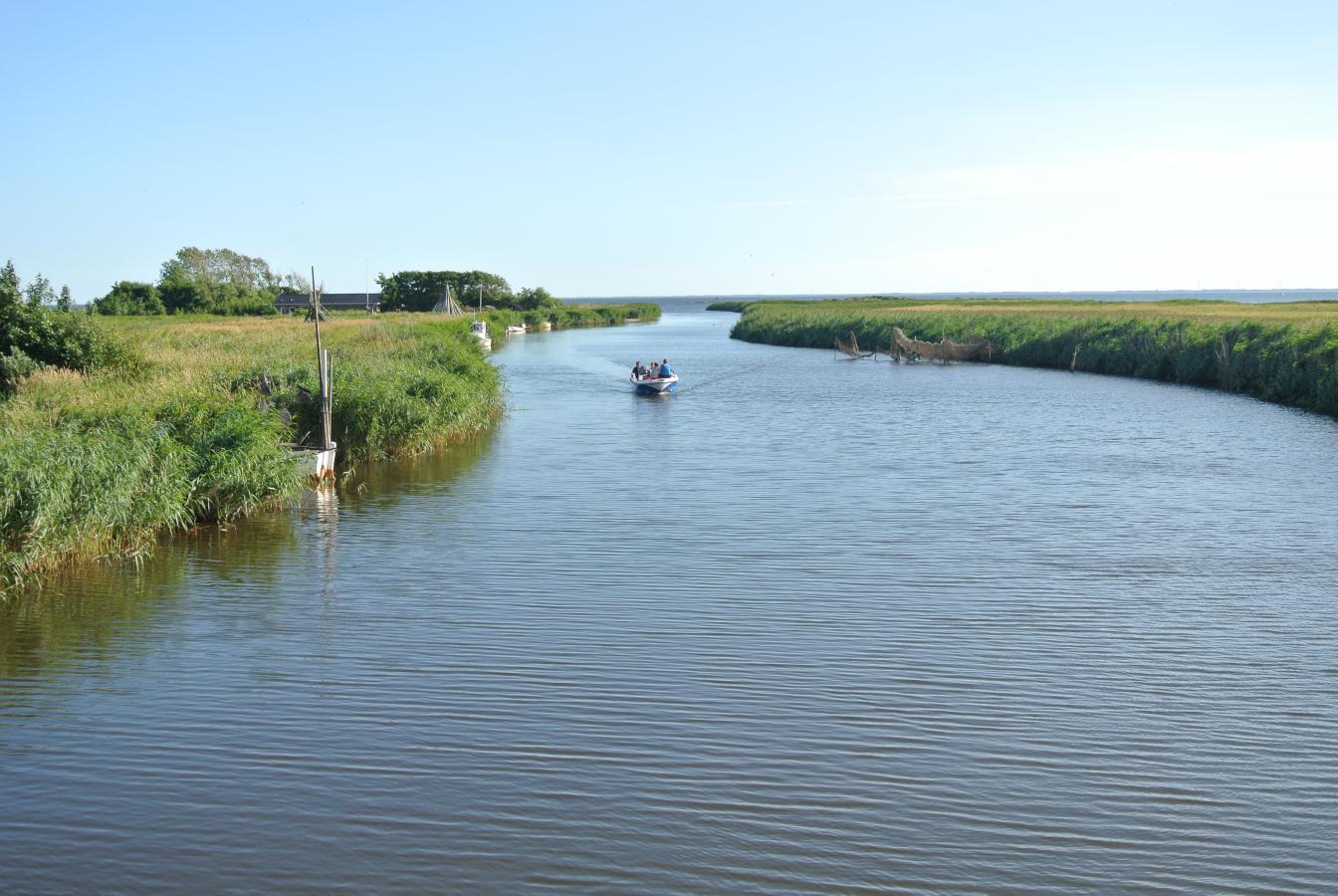 Fiskeri på Ringkøbing Fjord