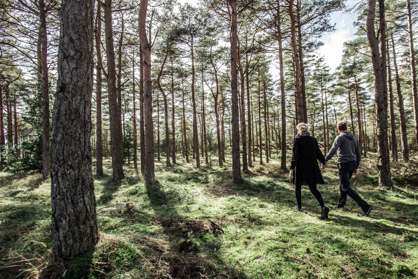 Par i skoven