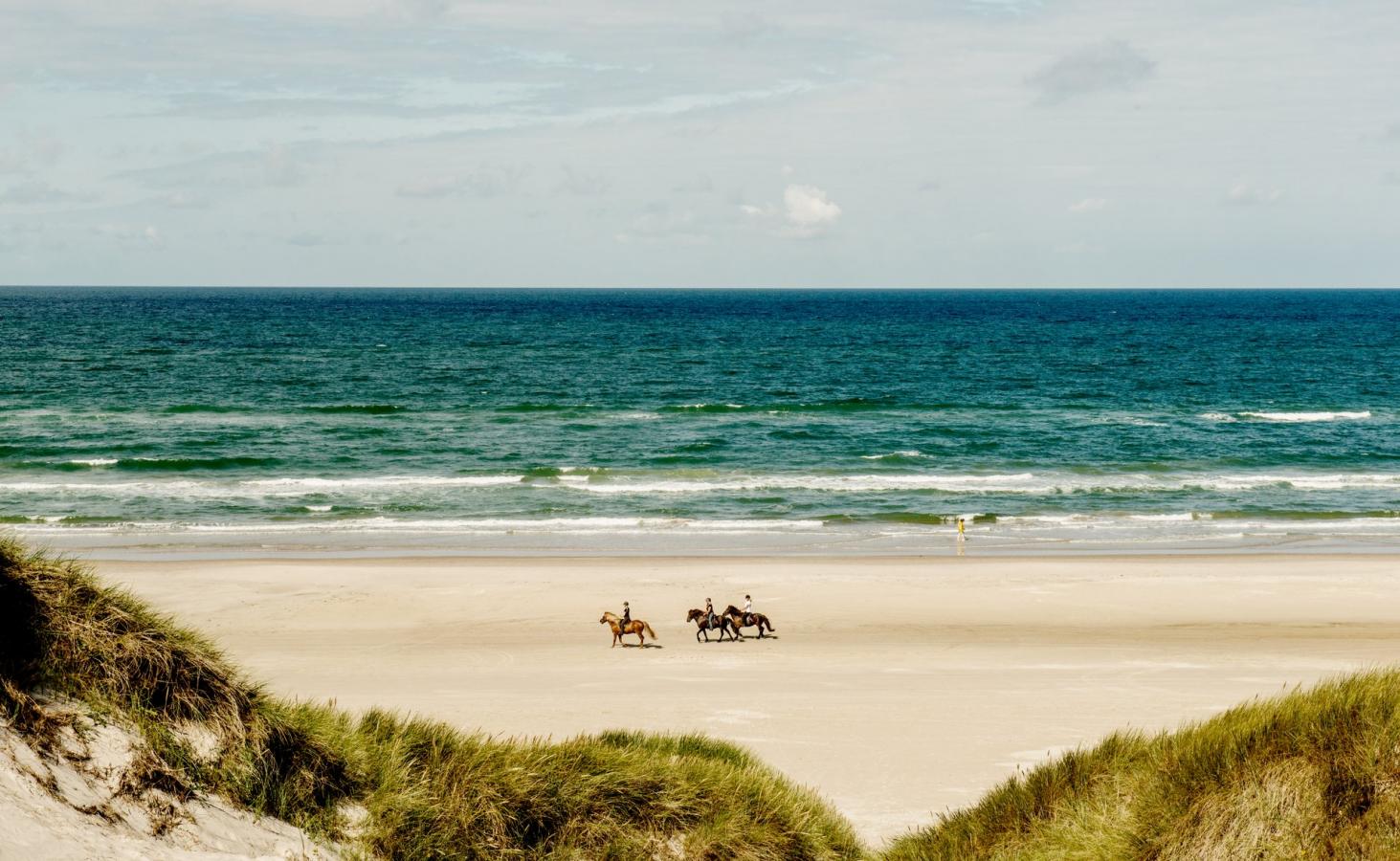 Ridning på stranden