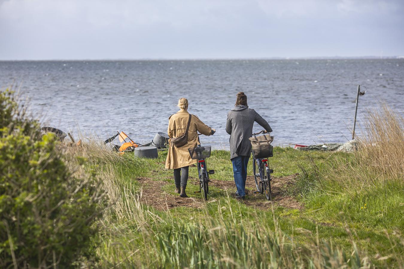 Par ved Ringkøbing Fjord