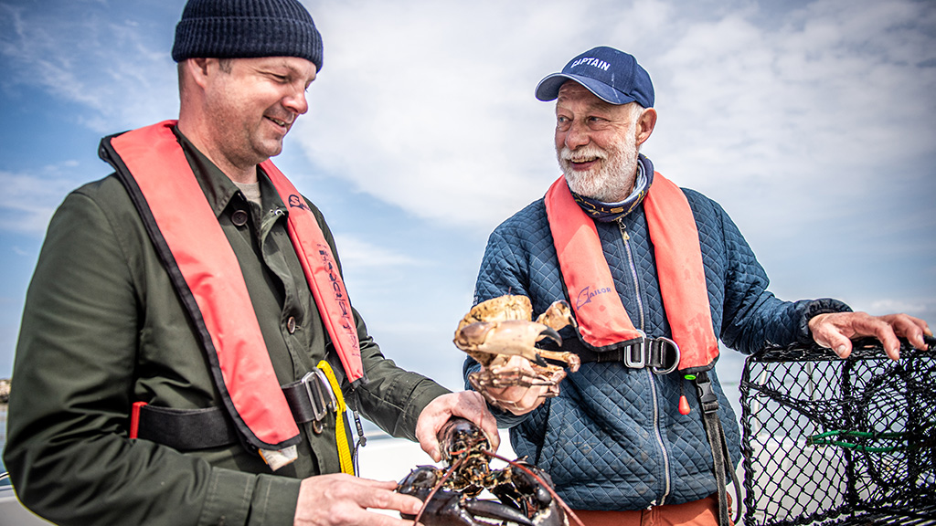 Fra fjord til bord - JyllandsAkvariet