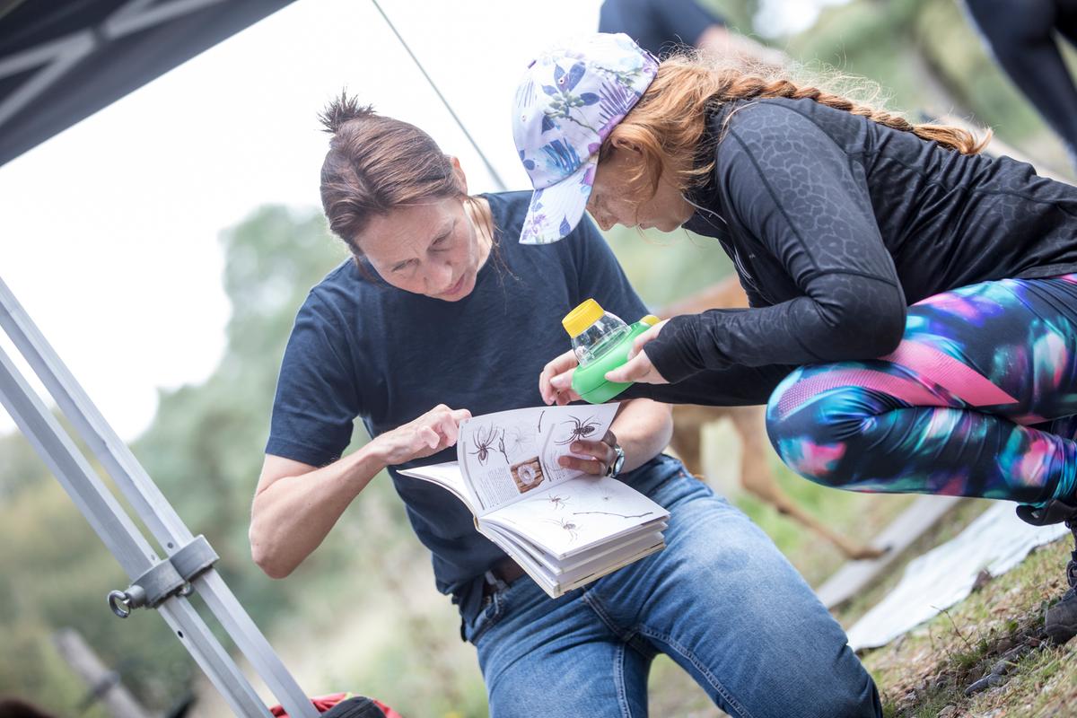 Kvinde og pige leder efter insekter