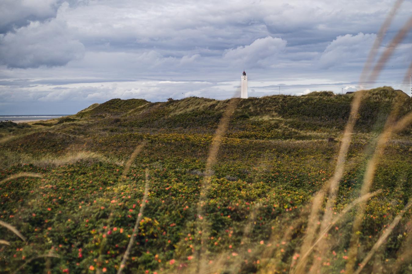 Blåvand Huk fyr, danmarks vestligste punkt i efteråret