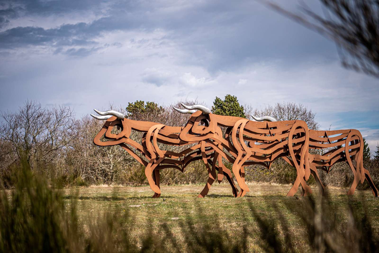 Skulptur af okserne i Oksbøl