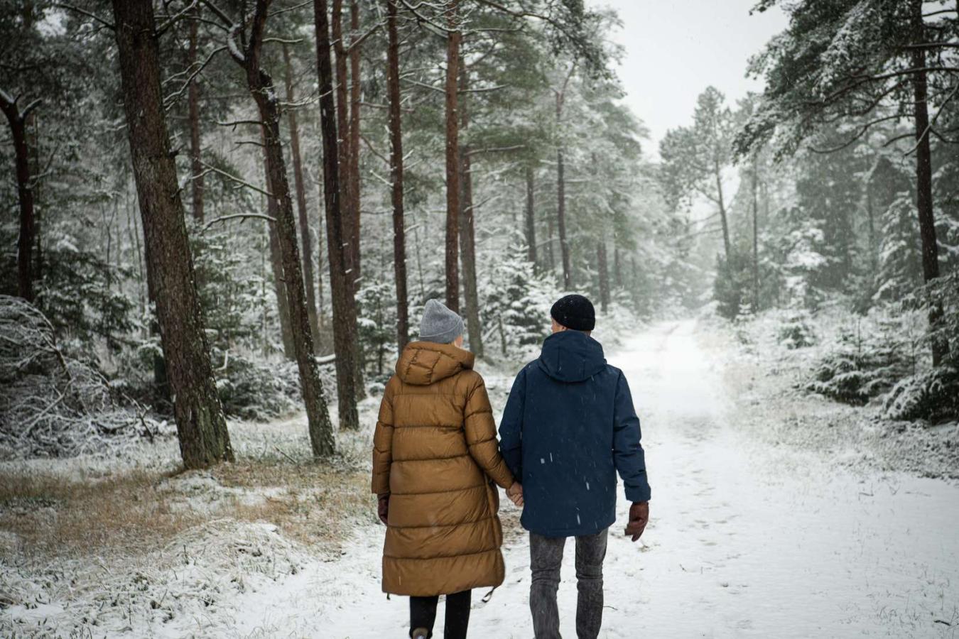 Gåtur i en sneklædt skov