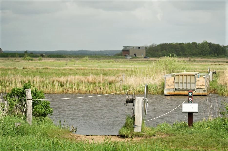 Udsigt over Skjern enge og trækfærgen