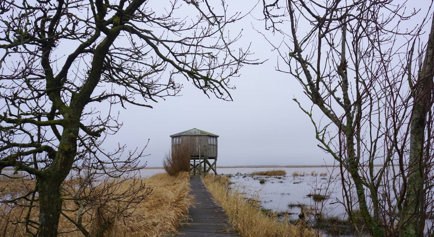 Udsigt over landskab med fugletårn ved Lønborg