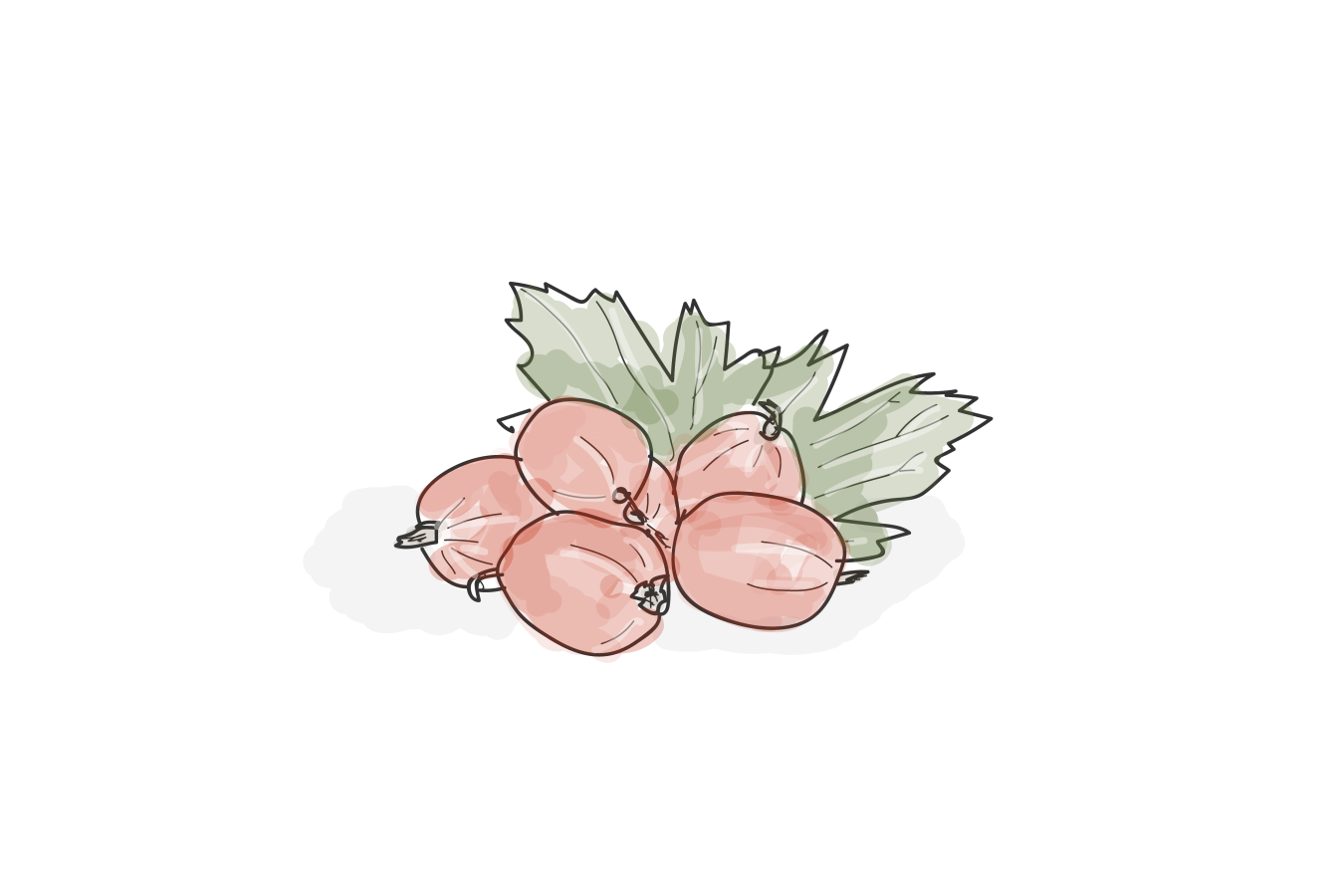 Stikkelsbærk og kernemælk Vesterhavet