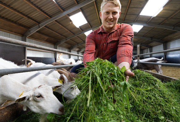 Gårdbutikken Nørgaards Geder - Fødevarenetværk 2023