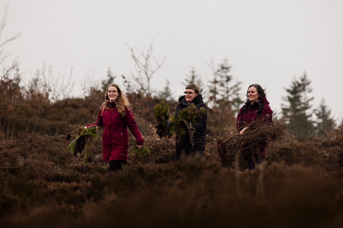 Hedepleje-Dejbjerg Hede-Frivillighed-Sarah Rønholt-VisitVesterhavet
