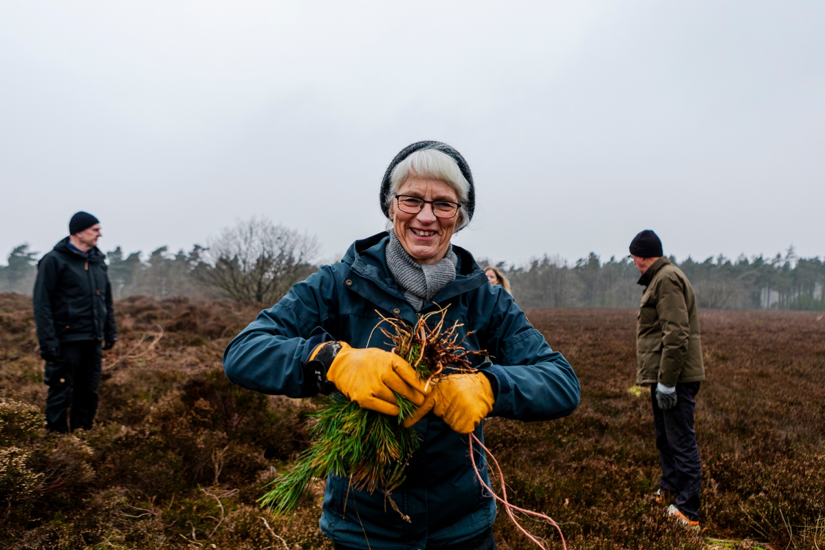 Hedepleje-Dejbjerg-Frivillighed-regenerativ turisme -Sarah Rønholt-VisitVesterhavet