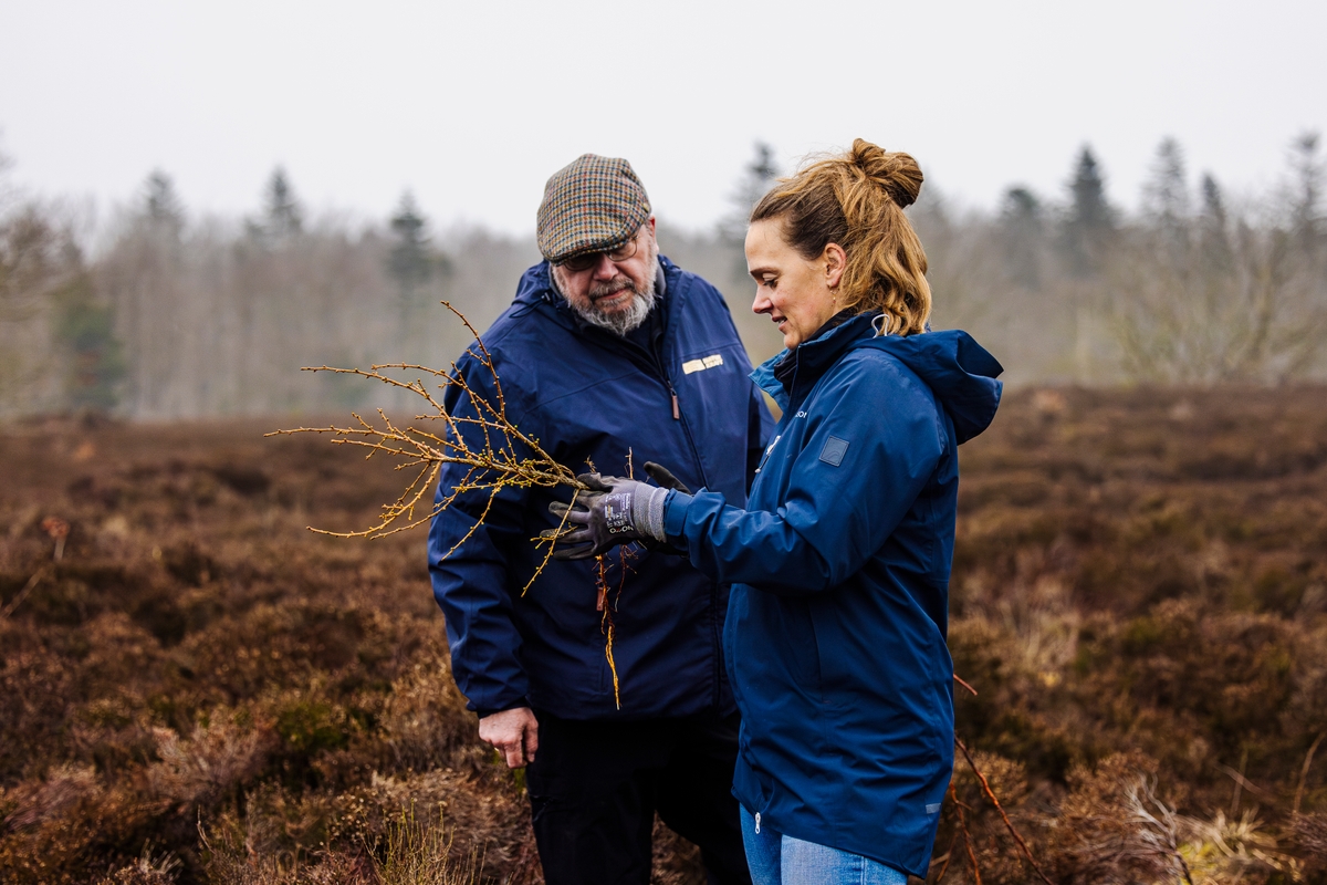 Hedepleje-Dejbjerg-Sarah Rønholt-VisitVesterhavet
