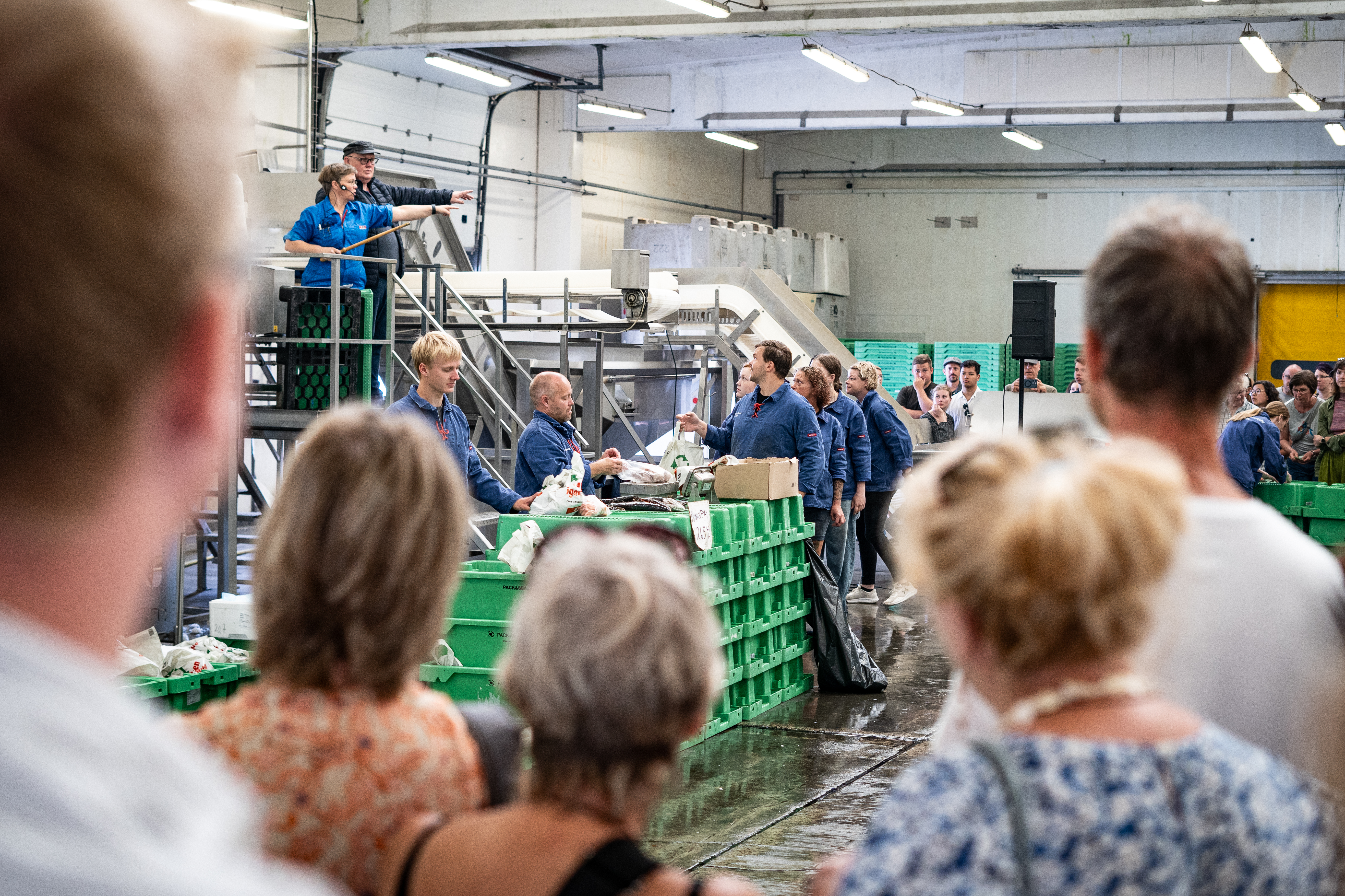 Fiskeauktion-Hvide-Sande-VisitVesterhavet