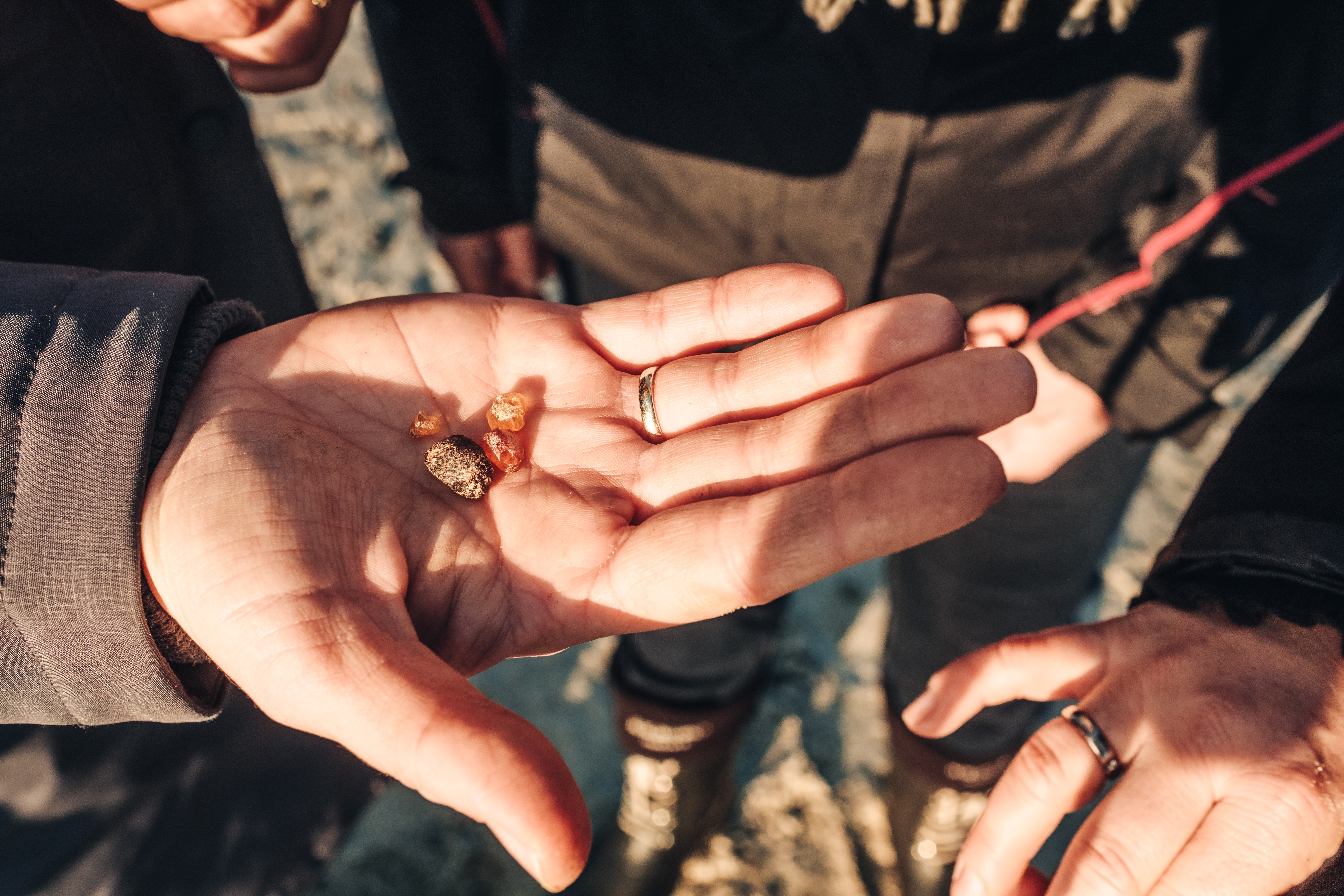 rav-henne-beach-denmark-Thomas Høyrup Christensen