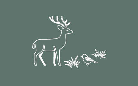 Code of conductnaturen har sin egen buffet