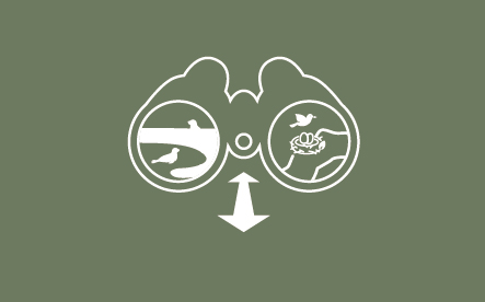 Code of conduct zoom med linsen