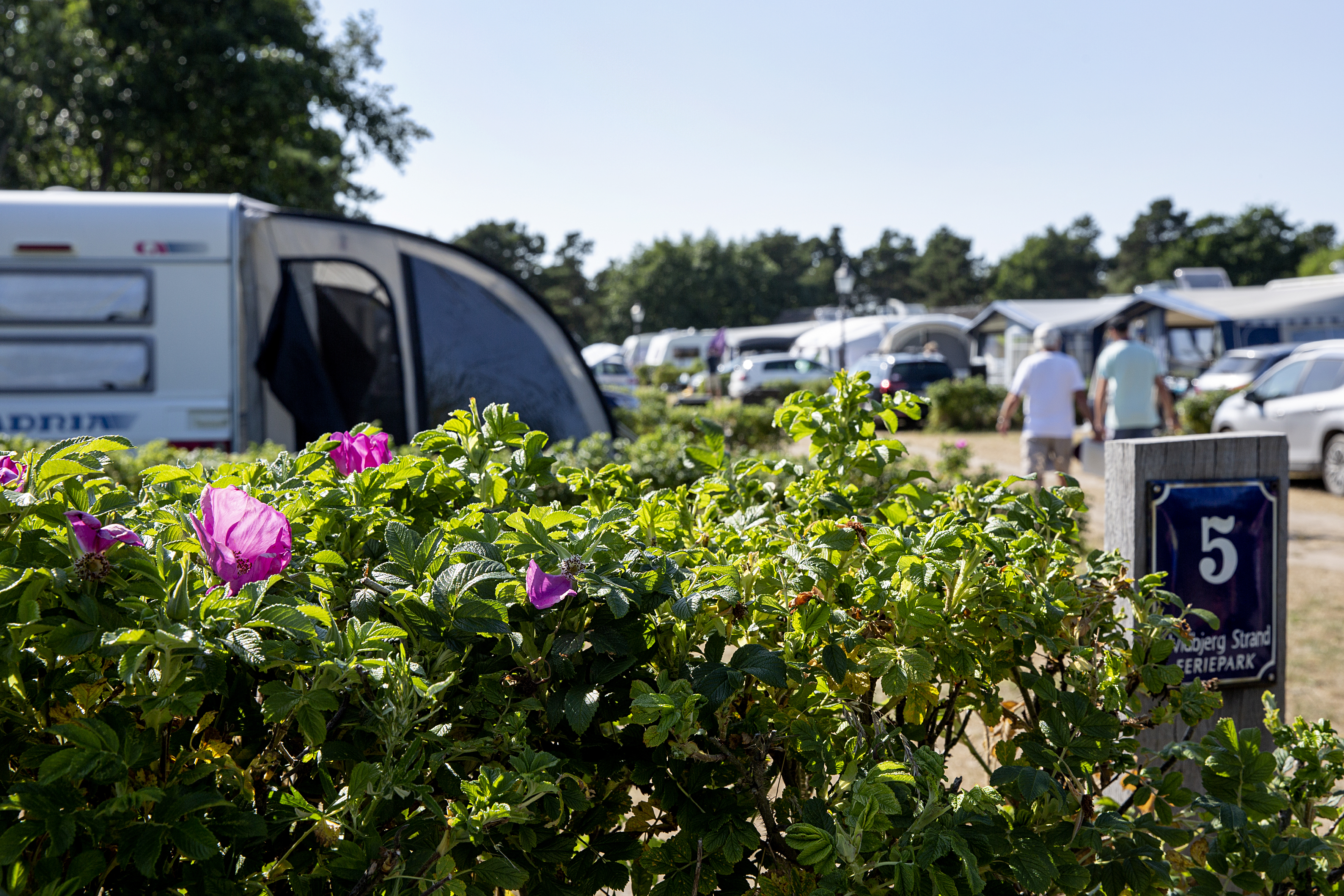 Campingliv Hvidbjerg Strand Feriepark