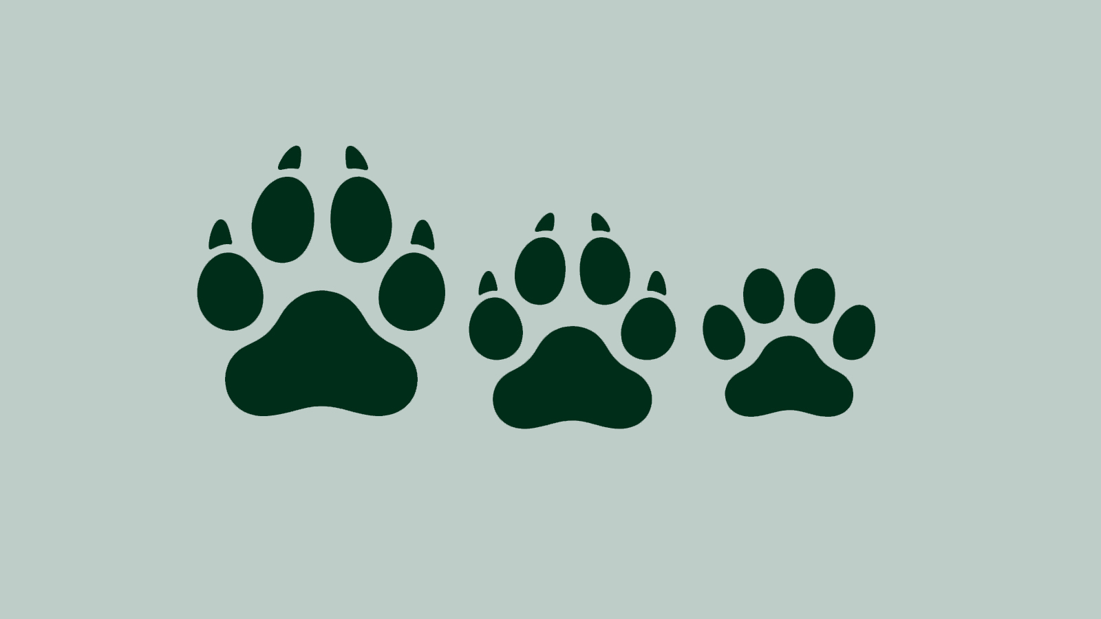 Ikon med ulvefodspor