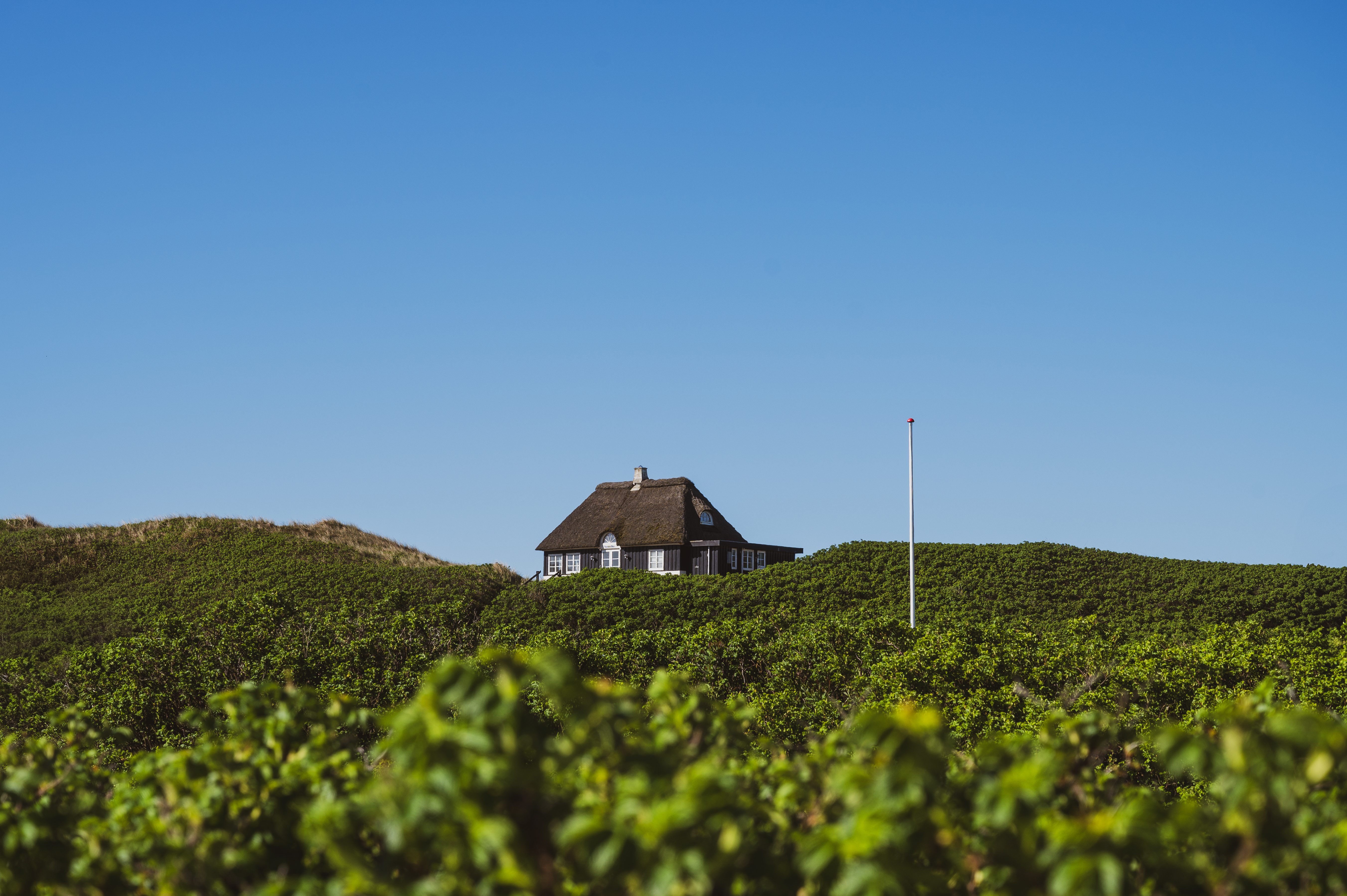 Feriehus i naturen ved Vesterhavet