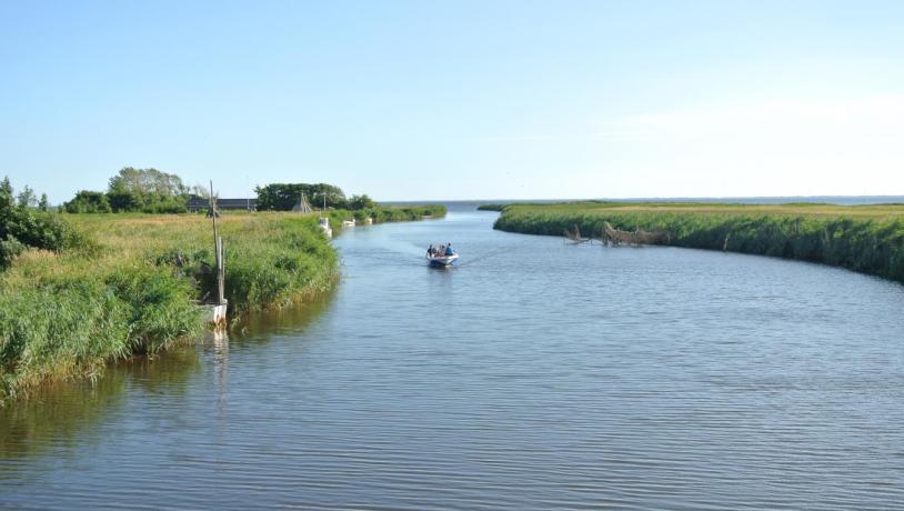 Fiskeri på Ringkøbing Fjord