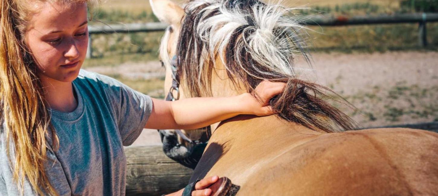 Horseback riding holiday