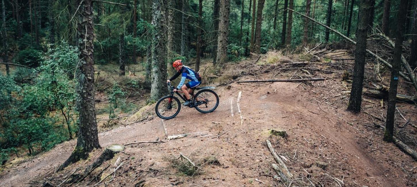 Mountainbike i Blåbjerg Plantage