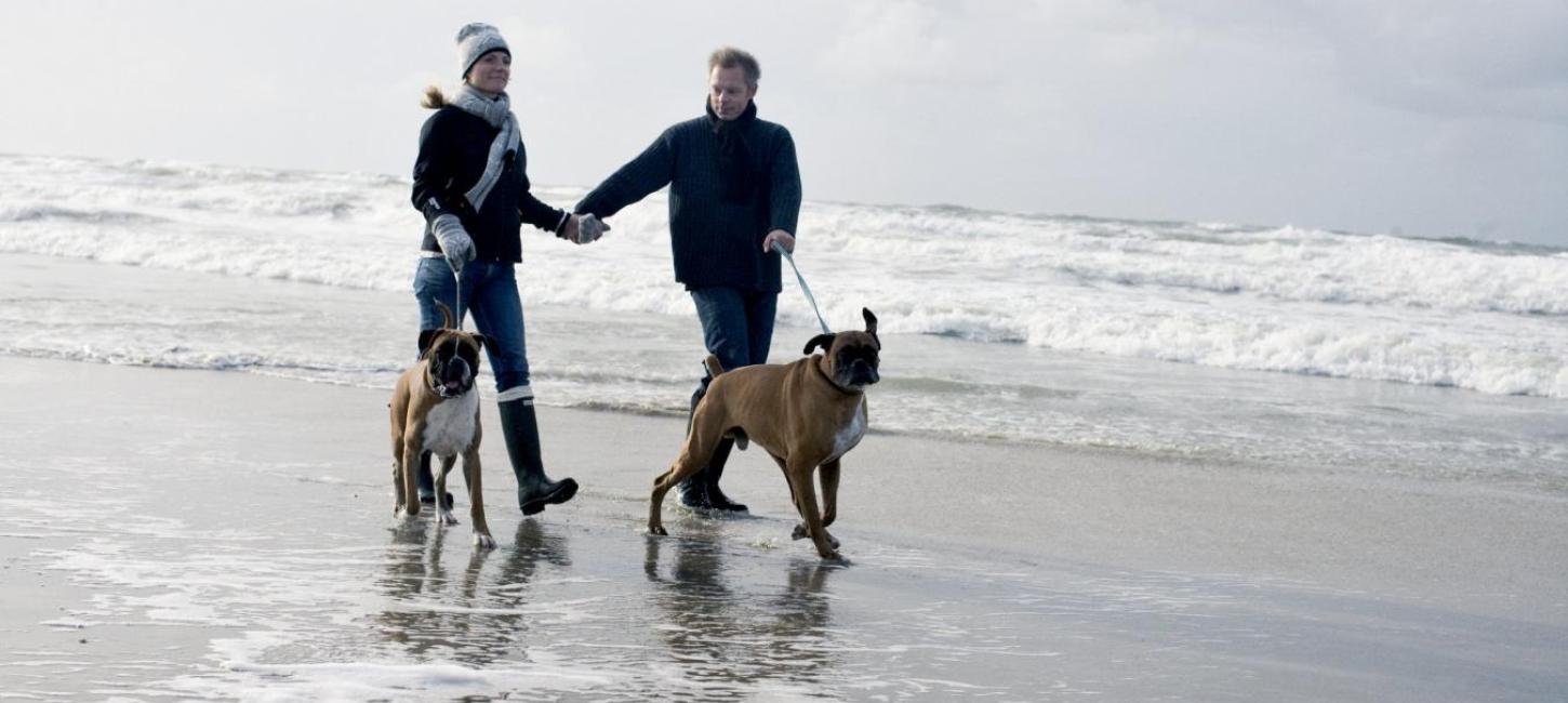 Par ved Vesterhavet med hunde