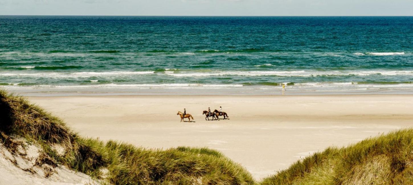 Ridning på stranden