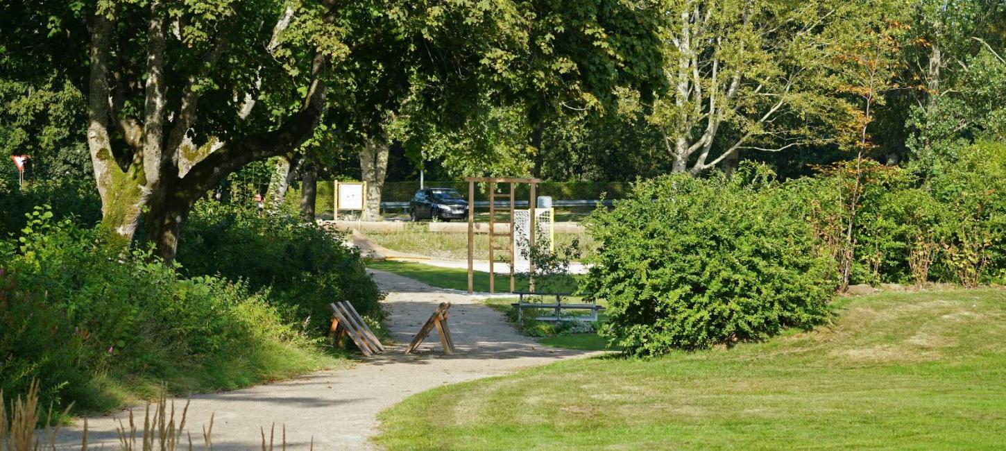 Forsøgshaven i Tarm på en sommerdag