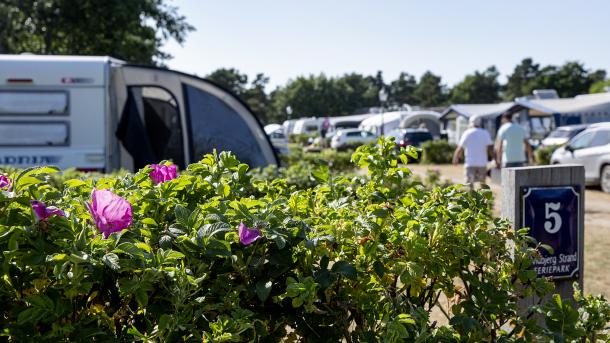 Campingliv Hvidbjerg Strand Feriepark
