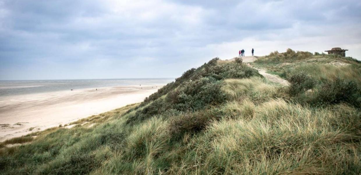 Danish North Sea Beach