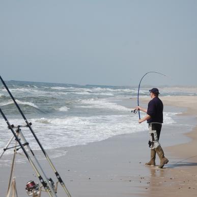 Surfcasting ved Vesterhavet