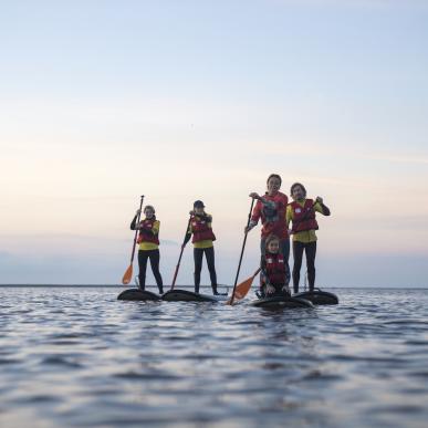 Familie stand up paddler ved Ringkøbing Fjord