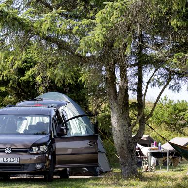 Familie som slår telt op på Vejers Strand Camping