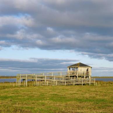 Udsigt over Skjern Å og fugletårnet