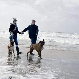 Par ved Vesterhavet med hunde
