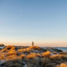 Vandretur i klitterne ved Vesterhavet