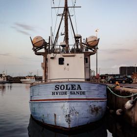 Kutteren Solea i Hvide Sande Havn