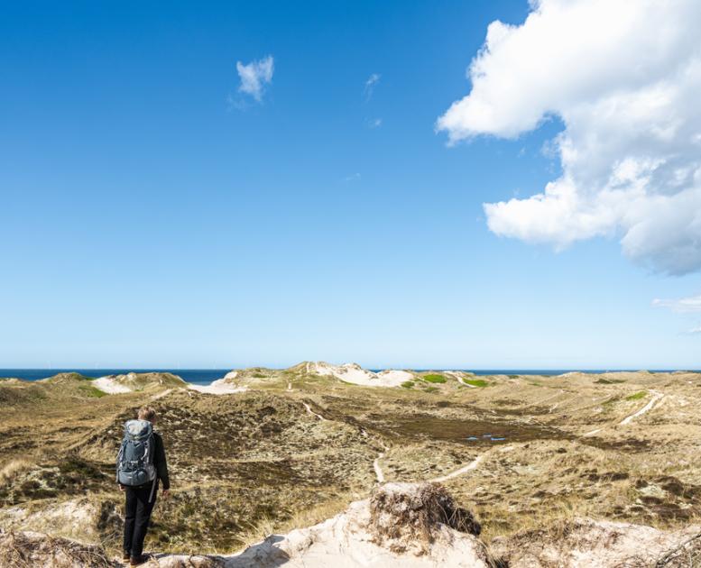 Vandre forår i klitterne Hvide Sande 